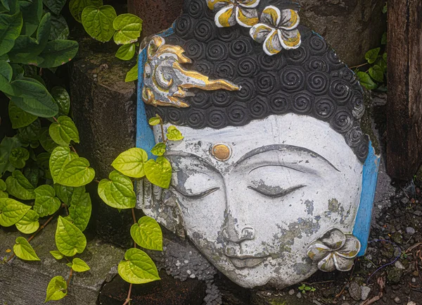白と黒のコンクリートヒンズー教の神の像の頭の地面に緑の葉に囲まれた — ストック写真