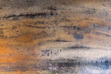 Kurumuş palmiye yaprağı yaprağının soyut arkaplan dokusunu kapat