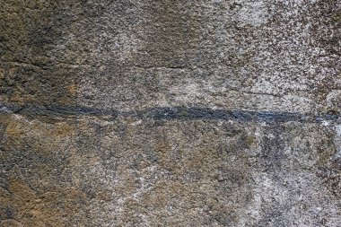 Ortasında koyu gri çizgiler ve siyah küf lekeleri olan kirli beton duvar.