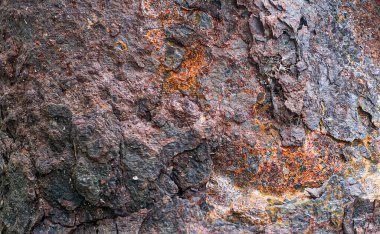 Paslı mantar ve siyah küflü arka plan ve duvar kağıdı dokusuna sahip eski ağaç kabuğu