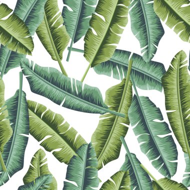 Tropical leaves, jungle leaves seamless floral pattern background