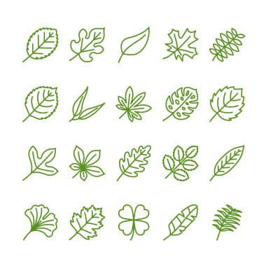 Leaves outline icon set
