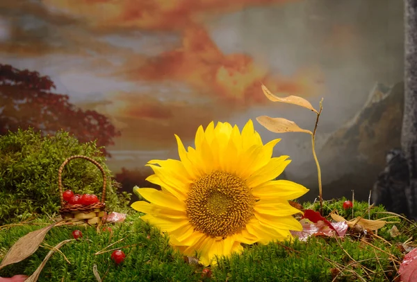 güzel sonbahar arkaplan afişi