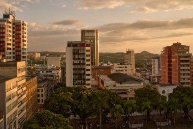 PEREIRA, COLOMBIA-JANUARY 25, 2023: Panoramic of the city center seen from south to north and tree planting of the Plaza de Bolivar. Colombian coffee axis
