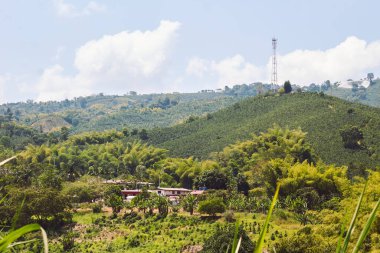 Central Cordillera of Colombia, Colombian Coffee Axis, Chinchin, Caldas, Colombia