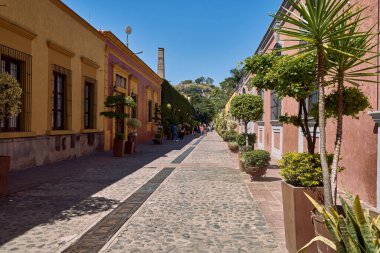 Tekila, Jalisco, Meksika - 20 Nisan 2023 Tekila 'da güzel renkli evleri olan cadde.