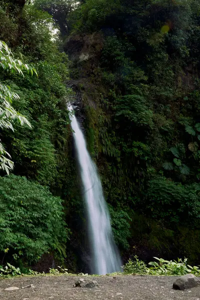 Pure Essence: Tropical Waterfall in Costa Rica's Wilderness
