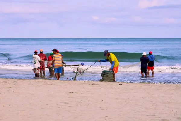 Cartagena, Bolivar Kolombiya - 1 Şubat 2024: Balıkçılar, Cartagena de Indias, Kolombiya sahillerinden toplanan balıklarla tramvay ağını sürükleme işini bitirdiler.