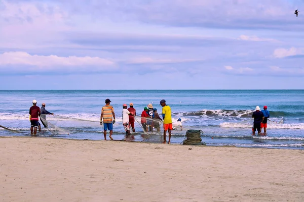 Cartagena, Bolivar Kolombiya - 1 Şubat 2024: Kolombiya 'nın Cartagena de Indias sahillerinde toplanan balıklarla tramvay ağını sürükledikleri halatları saran balıkçılar: