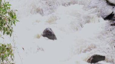 Taşlarla Nehirde Su Hareketi