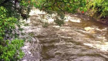 Doğal Bağlantı. Otn Nehri ve Pereira 'nın Su Eğitiminde Hayati rol