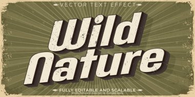 Klasik metin efekti, düzenlenebilir kampçı ve macera metin biçimi