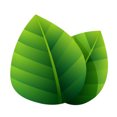 Yeşil yapraklar. Ağaç yaprakları. Beyaz arkaplanda vektör ortamı izole edildi.