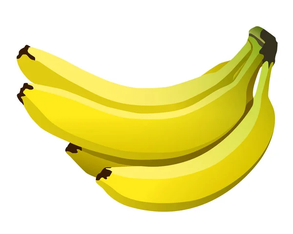 Букет Бананів Векторний Кліпарт Ізольовано Білому Тлі — стоковий вектор