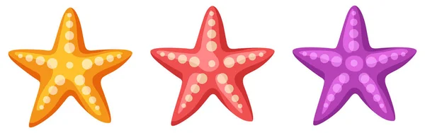 Starfish Conjunto Vetores Isolado Sobre Fundo Branco — Vetor de Stock