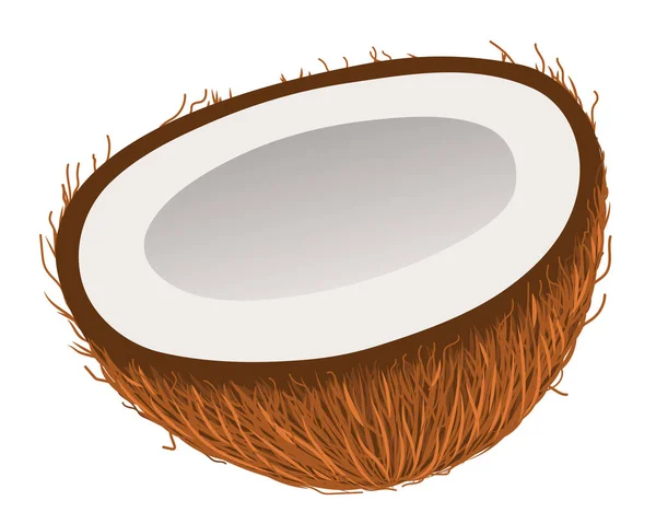 Kokosový Ořech Půl Kokosu Kokosové Maso Vektorový Klipart — Stockový vektor
