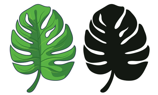 Monstera leaf. Black and green icon isolated on a white background. Vector clipart.