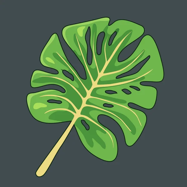 Monstera Löv Grön Ikon Isolerad Vit Bakgrund Vektorns Clipart — Stock vektor