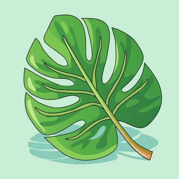 Monstera Leaf Zelená Ikona Izolovaná Bílém Pozadí Vektorový Klipart — Stockový vektor