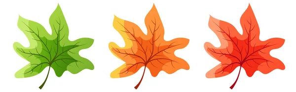 Осенние Листья Кленовые Листья Желтые Красные Зеленые Кленовые Листья Векторный — стоковый вектор