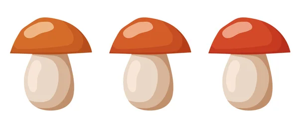 Conjunto Ícones Cogumelos Cogumelo Dos Desenhos Animados Isolado Fundo Branco —  Vetores de Stock