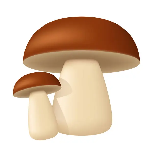 Porcini 两个蘑菇 在白色背景下孤立的向量群 — 图库矢量图片