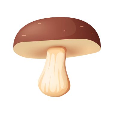 Porcini. Üç boyutlu mantar. Beyaz arkaplanda vektör ortamı izole edildi.