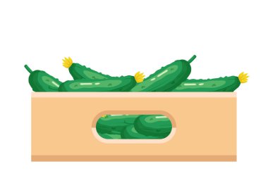 Salatalıklı karton bükülmüş kutu. Beyaz arkaplanda vektör ortamı izole edildi.