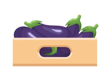 Patlıcanlı karton kaplama kutu. Beyaz arkaplanda vektör ortamı izole edildi.