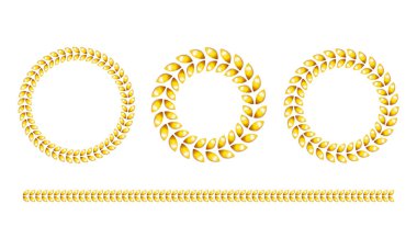 Yuvarlak altın yapraklı çerçeve ve altın yapraklı sınır. Yaprak süsü. Vektör seti beyaz arkaplanda izole edildi.