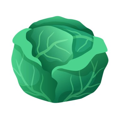 Lahana kafa. Beyaz arkaplanda 3d vektör dağılımı izole edildi.