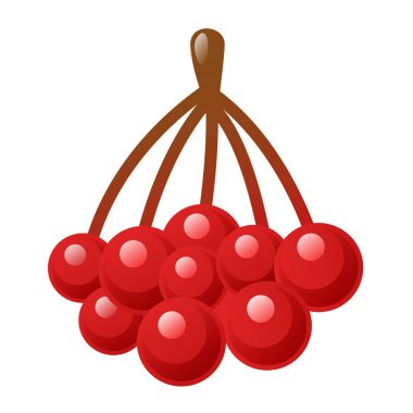 Rowanberry ikonu. Beyaz arkaplanda vektör ortamı izole edildi. 