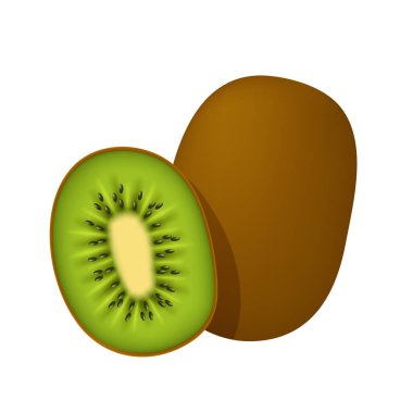 Kivi. Beyaz arkaplanda izole edilmiş vektör 3B klip sanatı