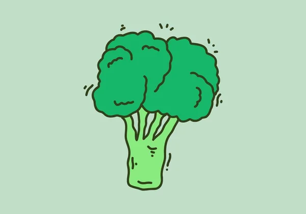 Zielony Kolor Projektu Ilustracji Brokuły — Wektor stockowy