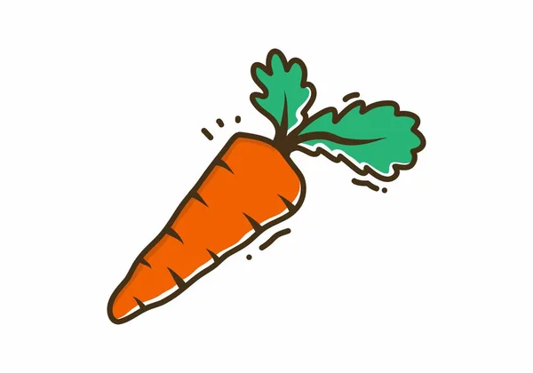 Illustration Zeichnung Von Orangen Karotten Gemüse — Stockvektor