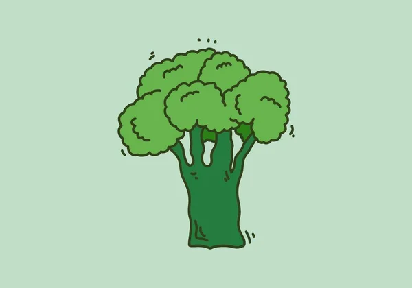 Grüne Farbe Des Brokkoli Illustrationsdesigns — Stockvektor