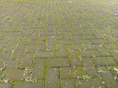 Sokaklar yosun dolu tuğlalarla dolu. Gün boyunca fotoğraflanmış.