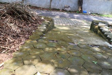 Altıgen şekilli tuğla döşemeli sokakların fotoğrafı. Yeşil yosunlarla dolu