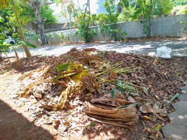 Yolun kenarında, gölgeli ağaçların altında yığılmış bir sürü kuru yaprak var.