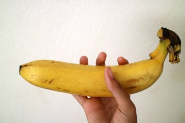 Beyaz arka planda olgun bir muzu tutan bir el..