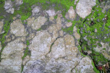 Close up of a weathered stone surface with green moss growth.