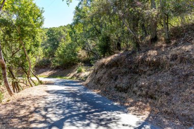San Rafael, California 'da ağaçlarla kaplı bir yamaca oyulmuş özel bir yol. Yoğun yeşillik, benekli ışık ve görünür su boruları kırsal orman altyapısını çağrıştırıyor.