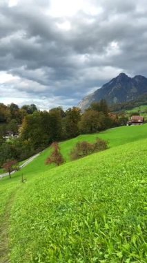 Sonbahar Ağaçları ve Dağ Manzaralı Yeşil Tepe. Sonbahar renklerinde meyve ağaçlarının arasında kıvrılan kırsal yolu olan sakin yeşil bir yamaç. Görkemli dağlar, bulutlu bir gökyüzünün altında arka planda yükseliyor ve bu sakin manzarayı tamamlıyor..