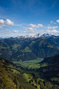 Captivating view from Mount Stanserhorn in the heart of Switzerland. This panoramic scene highlights lush green valleys and towering Alpine peaks beneath a bright blue sky. A perfect depiction of clipart