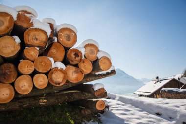 Bir yığın kütük ve karla kaplı küçük bir kulübeyle sakin bir kış sahnesi. Manzara parlak güneş ışığıyla yıkanır, kıtır mavi gökyüzü mükemmel bir kış günü yaratır..