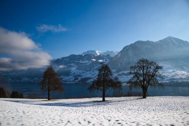 Çıplak ağaçlar gölün yakınındaki karlı bir tarlada durur, arka planda görkemli dağlarla birlikte. Kıtır kıtır bir kış günü Parlak güneş ışığı ve mavi gökyüzünde yumuşak bulutlar.
