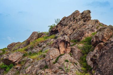 Karmaşık dokuları olan engebeli kayalık bir tepe canlı mavi bir gökyüzüne karşı dimdik ayakta duruyor. Kayanın yarıklarında, yeşil çimenler, kır çiçekleri ve küçük çalılıklar dramatik hayata hayat katıyor.