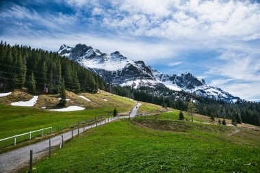 Yeşil yuvarlak tepeli Pilatus Dağı manzarası, dolambaçlı bir patika ve karla kaplı dağ zirveleri, açık mavi gökyüzünün altında mükemmel bir kontrastlık yaratır..