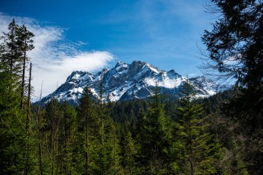 Pilatus Dağı 'nın nefes kesici manzarası, yoğun bir çam ormanının üzerinde duran karla kaplı zirvesi. Dalgalı mavi gökyüzü İsviçre 'nin merkezindeki bu sakin alp manzarasına derinlik katar..