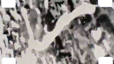 16mm soyut siyah beyaz film. Farklı türde bir karışım modu opaklığı olan bir arkaplan olarak iyi bir kullanım. 